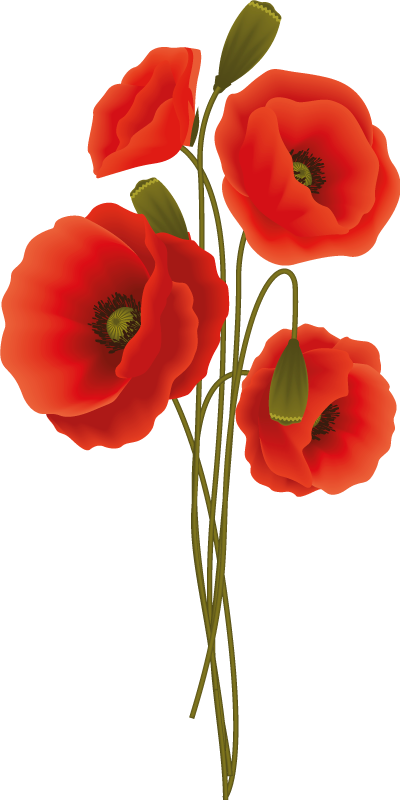 Bad vinyl teppe delikate valmuer - Tenstickers