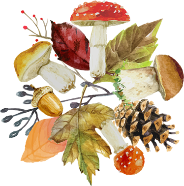 Vinyl teppe natur skogblader og frukter - Tenstickers