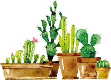 Vinyl teppe blomster og planter hjemmelaget kaktushage - Tenstickers