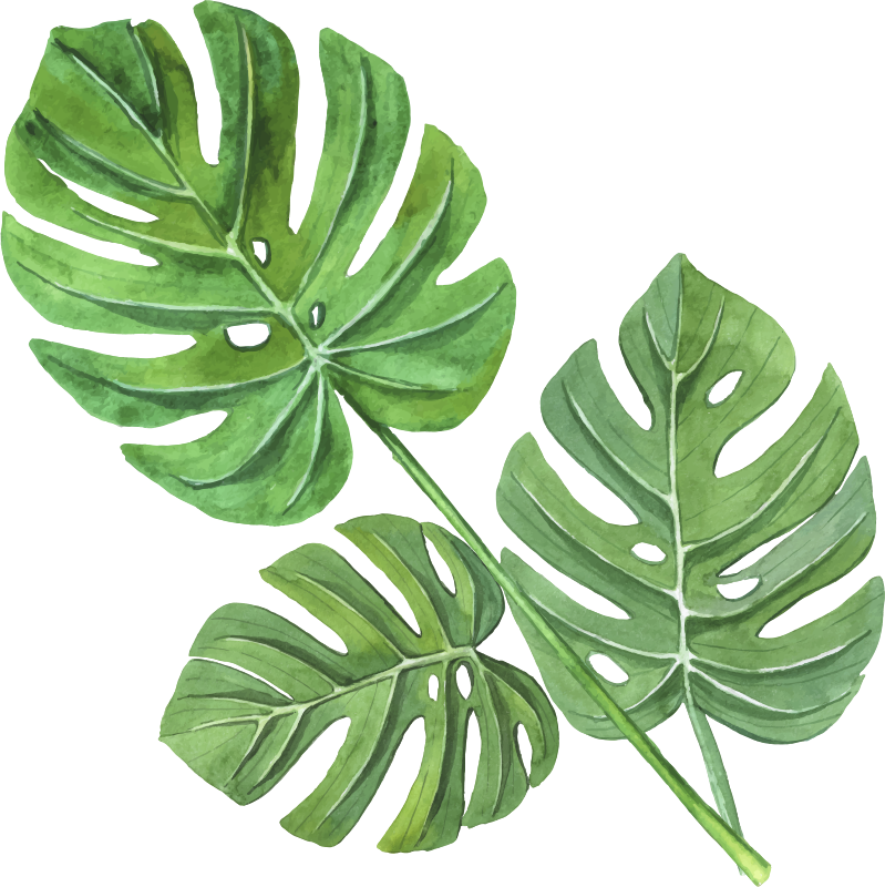 Vinyl teppe blomster og planter monstera akvarell blader - Tenstickers