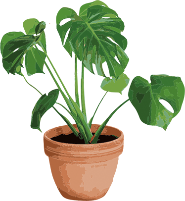 Vinyl teppe blomster og planter enkel monstera pot - Tenstickers