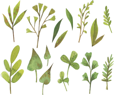 Aquarella små blader vinyl teppe blomster og planter - Tenstickers