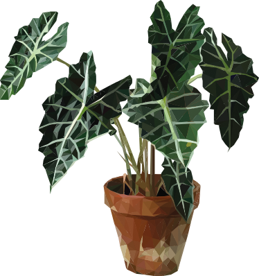 Vinyl teppe blomster og planter geometrisk potte - Tenstickers