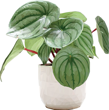 Vinyl teppe blomster og planter enkel hjemmplante - Tenstickers