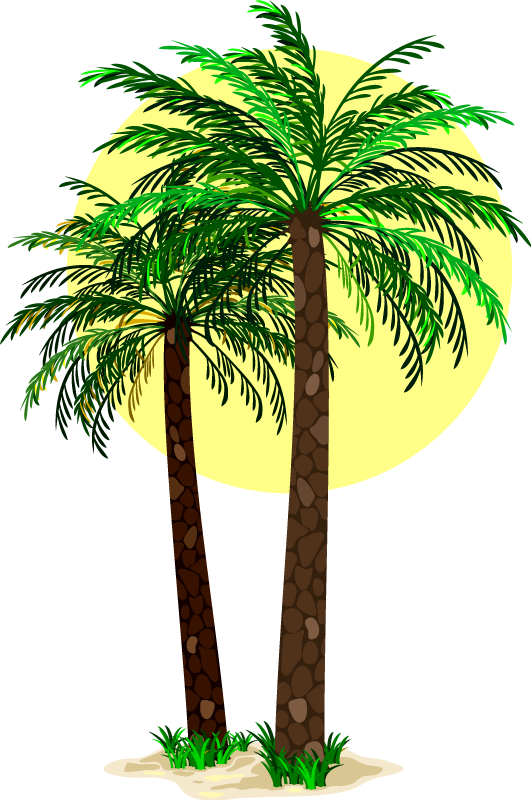 Vinyl teppe blomster og planter palmer - Tenstickers