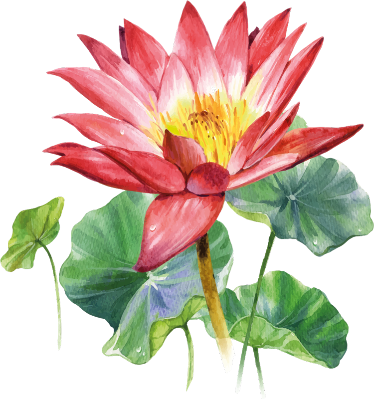 Lotus akvarell illusjon vinyl teppe soverom - Tenstickers