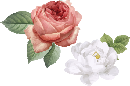 Vinyl teppe soverom hvite og rosa roser - Tenstickers