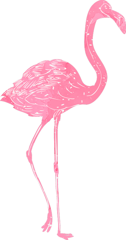 Vinyl teppe soverom flamenco akvarell - Tenstickers