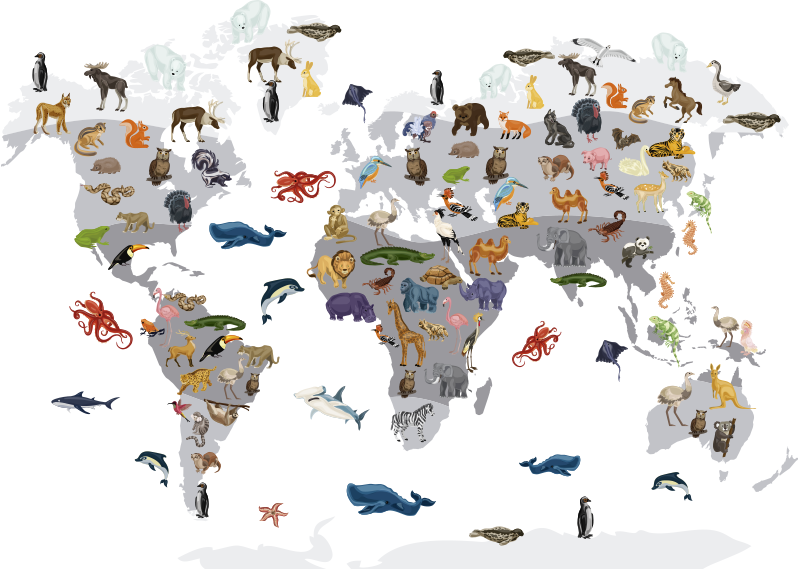 Vinyl teppe verdenskart nordisk stil veggdekor - Tenstickers