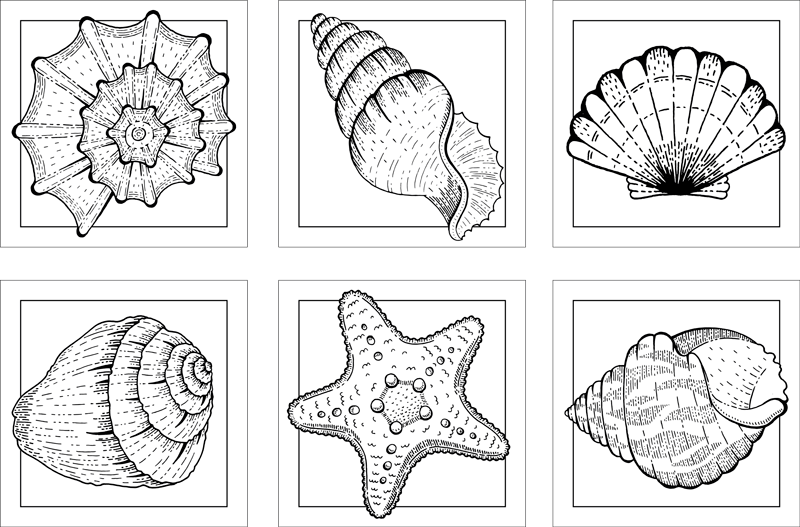 Bad vinyl teppe med marineliv og skjellmotiv - Tenstickers