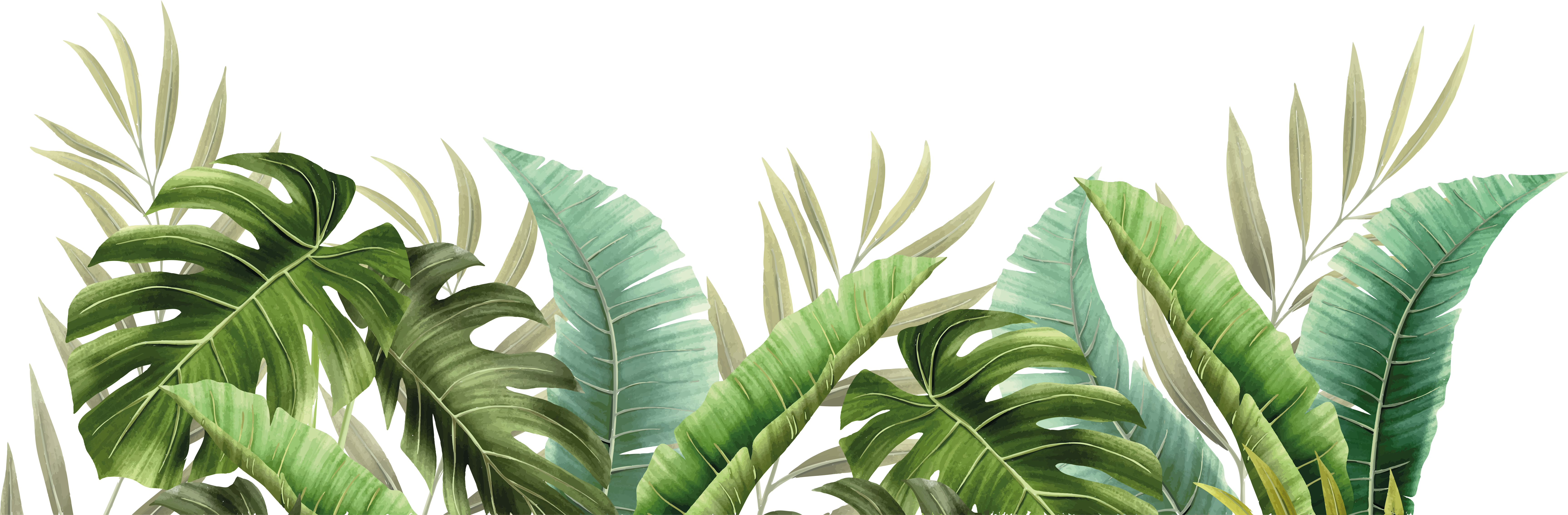 Tropiske planter bad vinyl teppe - Tenstickers