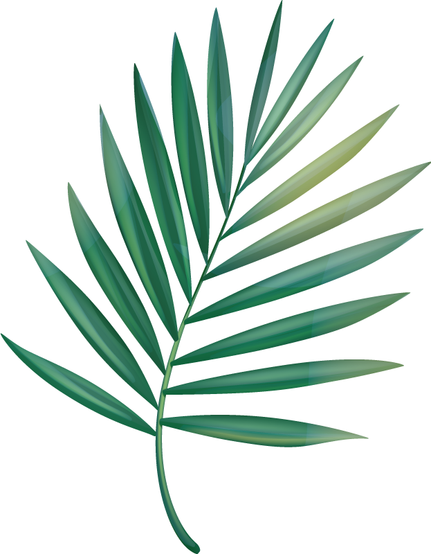Leaf palm bad vinyl teppe - Tenstickers