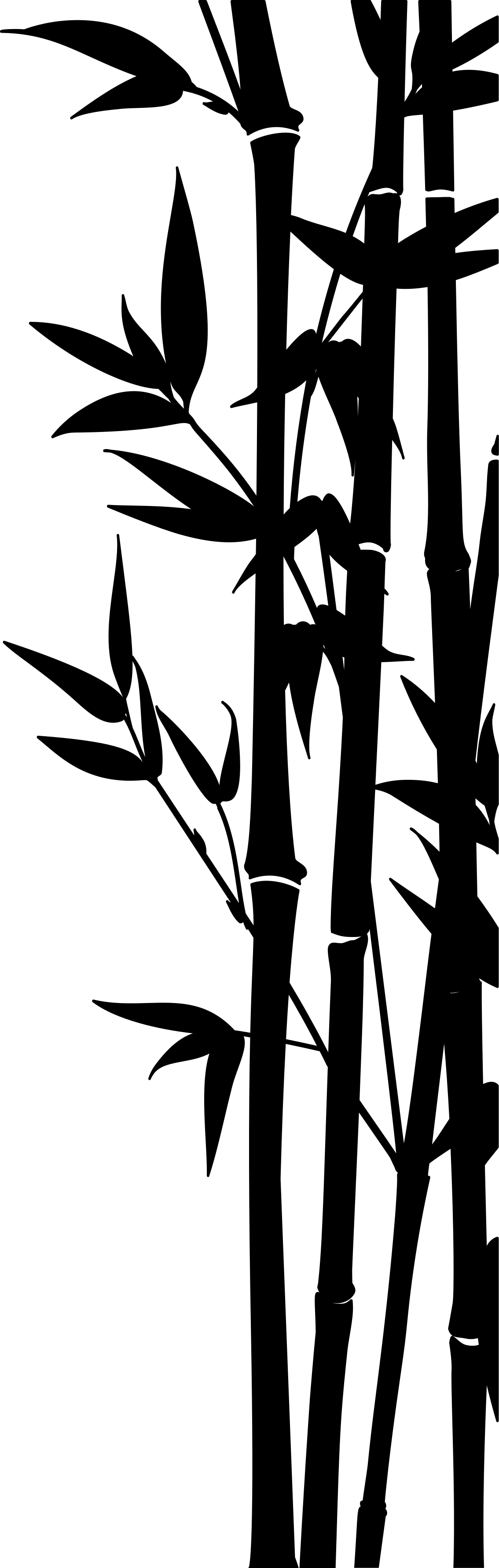 Bad vinyl teppe bambus dusjskjerm klistremerke - Tenstickers