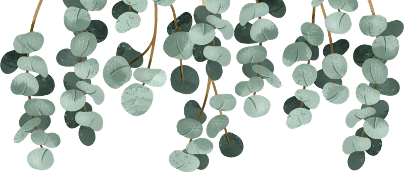 Hengende planter vinyl teppe soverom - Tenstickers