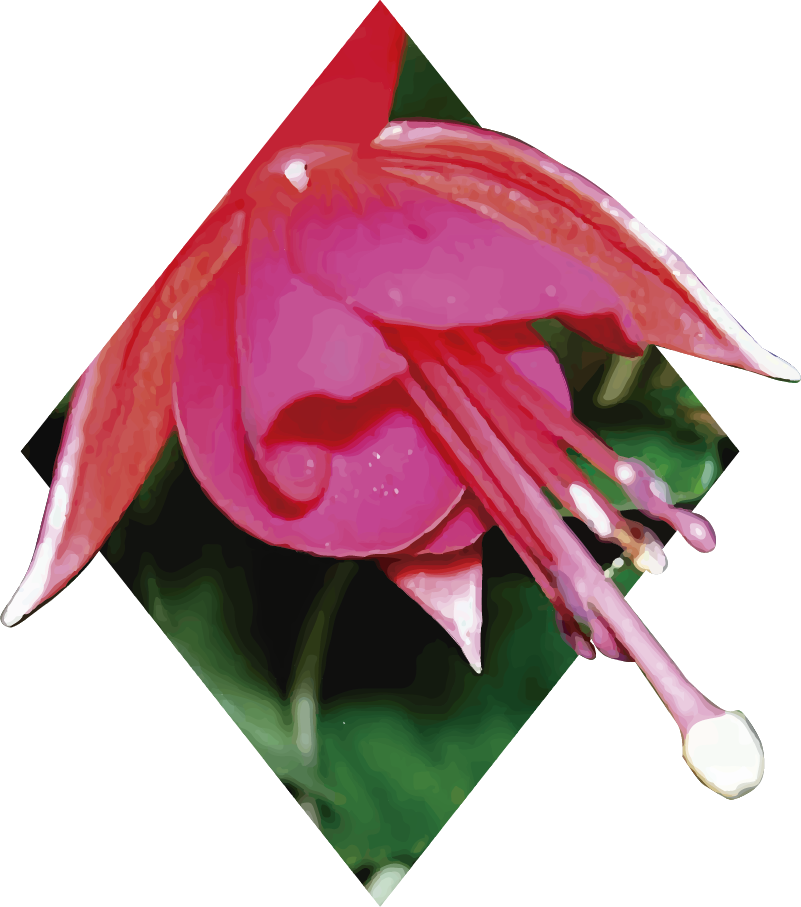 Chilco vinyl teppe soverom - Tenstickers