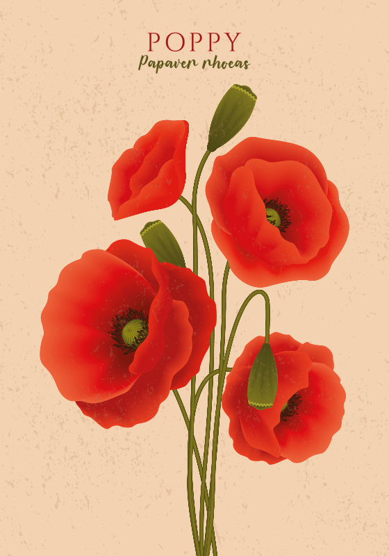 Valmuer vinyl teppe blomster og planter - Tenstickers