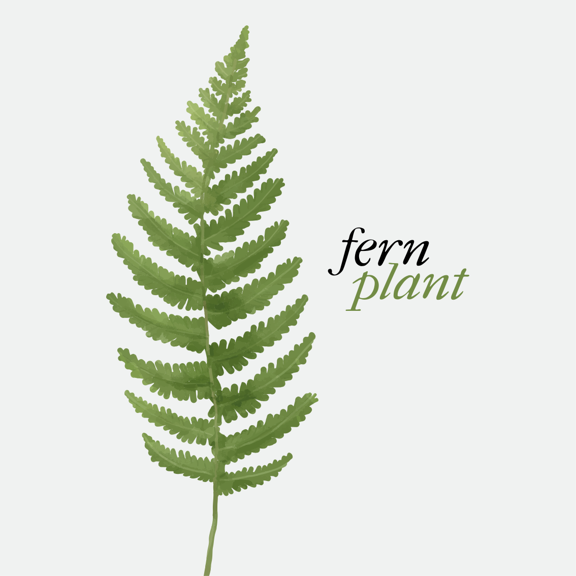 Vinyl teppe sagn og tekster med bregne plante minimalistisk - Tenstickers
