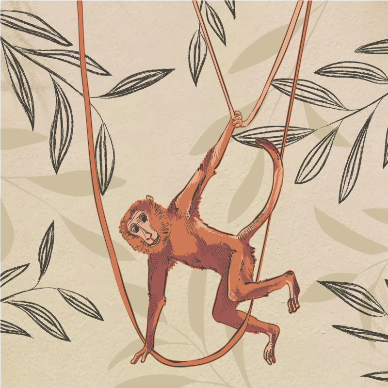 Vinyl teppe spedbarn babyape svinger på plante - Tenstickers