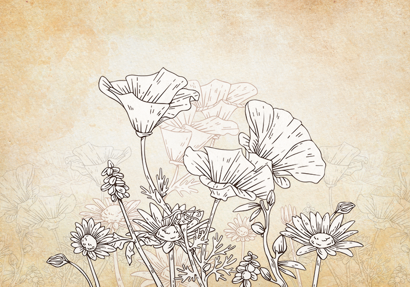 Vinyl teppe beige vintage eng - Tenstickers