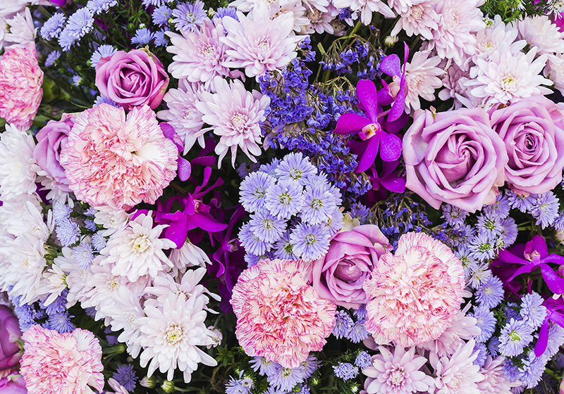 Vinyl teppe lilla blomster fototapet - Tenstickers