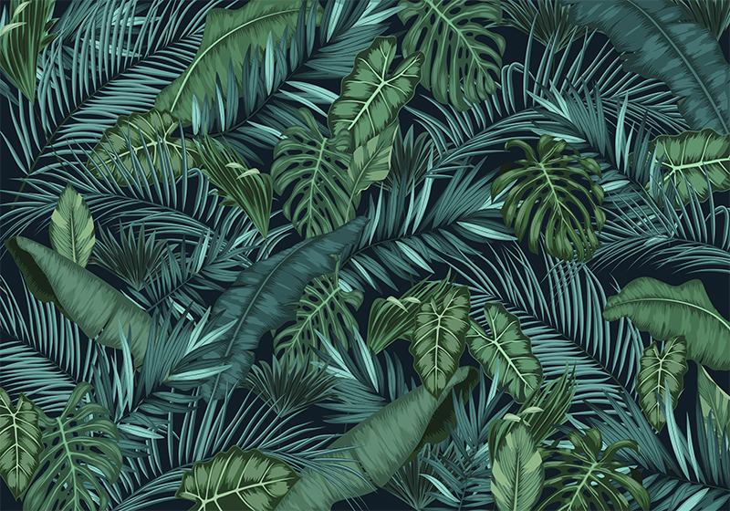 Vinyl teppe grønn jungle fototapet - Tenstickers