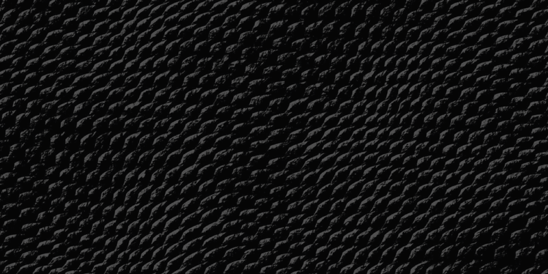 Sort slangeskinn dyreprint vinylteppe - Tenstickers