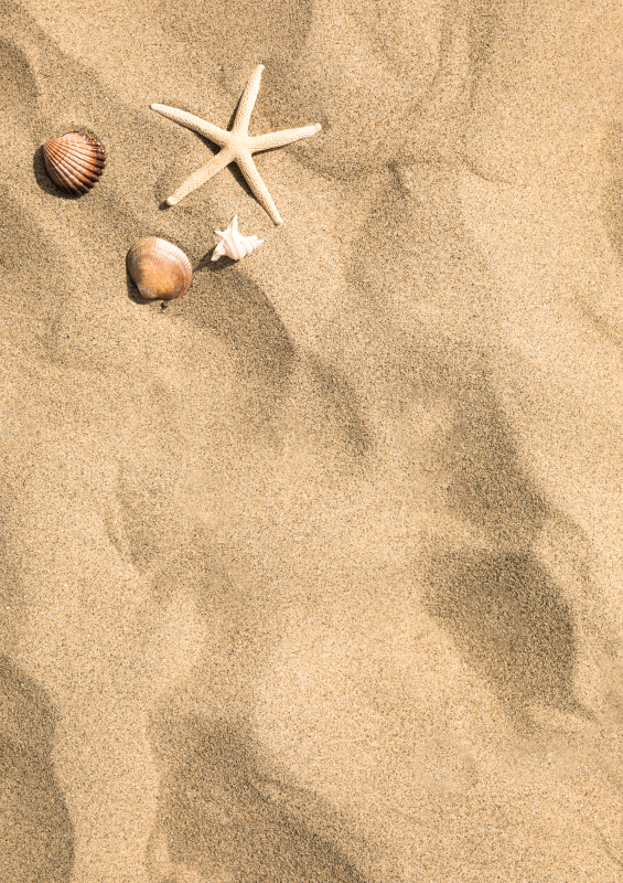 Sommer vibe vinylteppe sandstein gulvfliser - Tenstickers