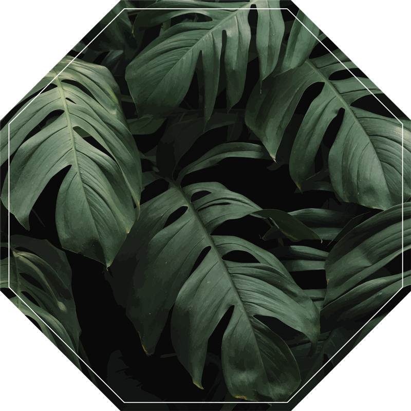 Monstera etterlater blomsterteppe - Tenstickers
