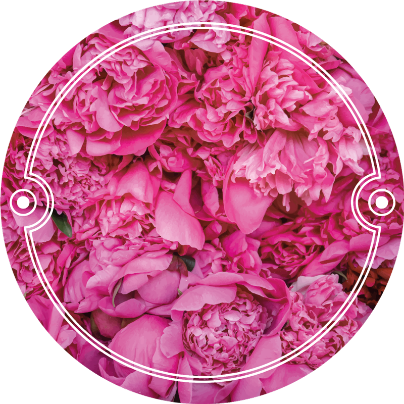 Peonies blomster vinylteppe - Tenstickers
