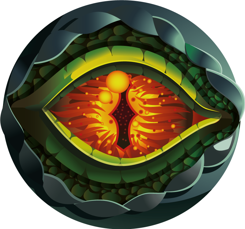 Dinosaur øye naturlig design dyre teppe - Tenstickers