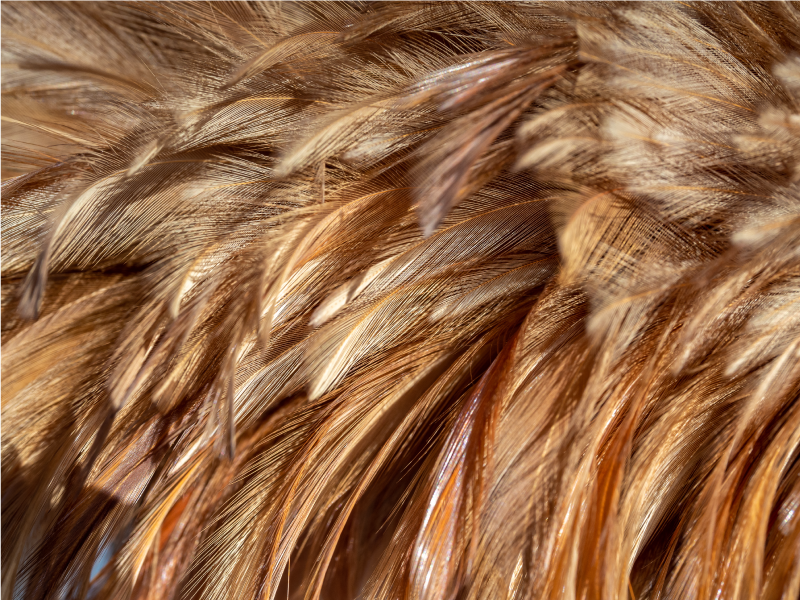 Virvlende pels vinyl teppe dyreavtrykk - Tenstickers