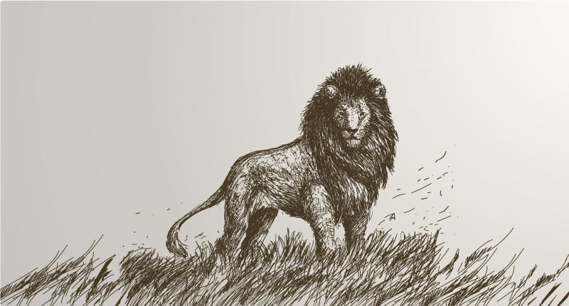 Majestetisk løverefleksjon vinyl teppe dyr - Tenstickers