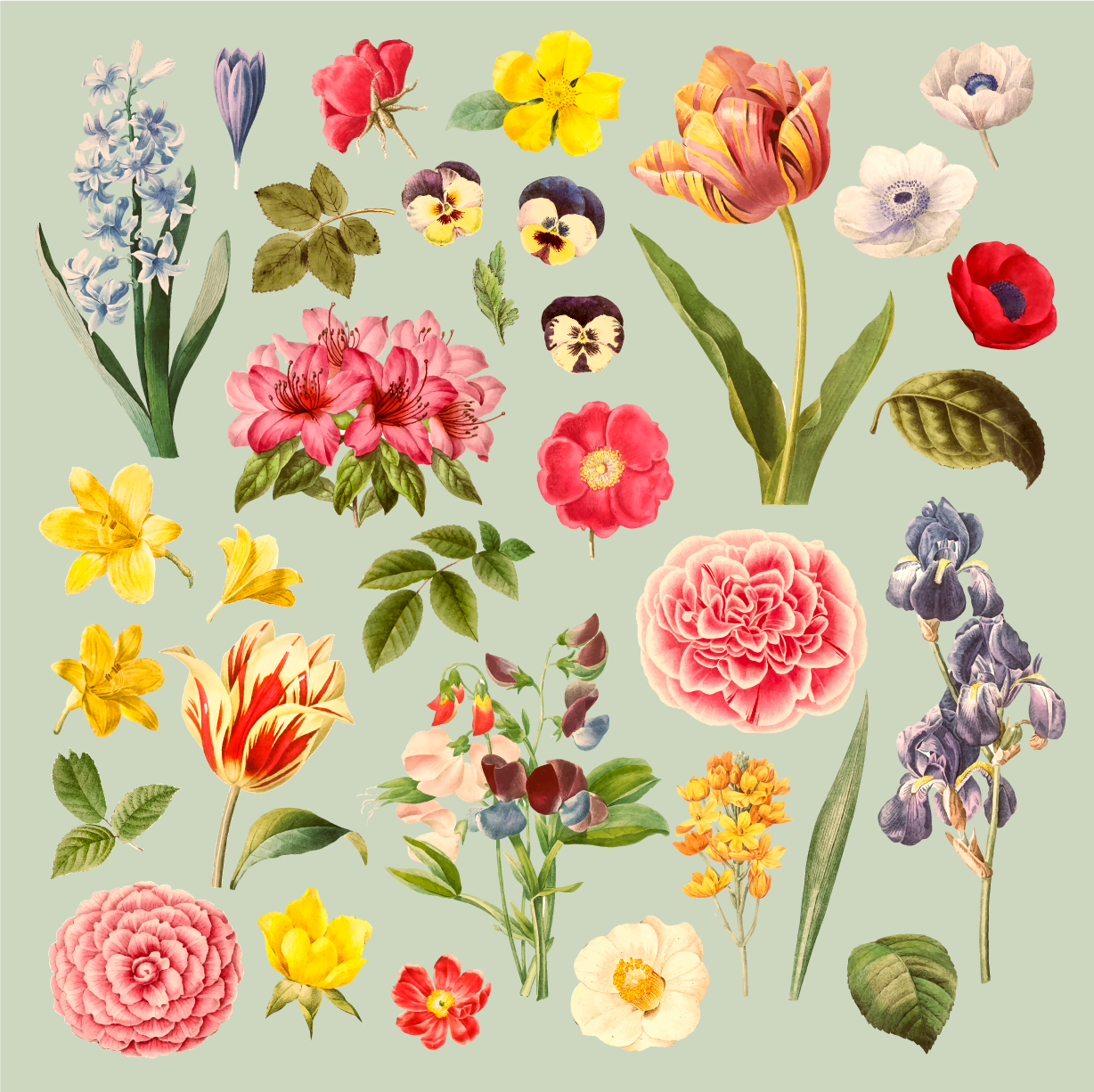 Blomsterbotanisk kolleksjon vinyl teppe blomster og planter - Tenstickers