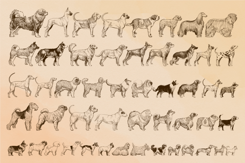 Hundestørrelser dyr vinyl teppe - Tenstickers