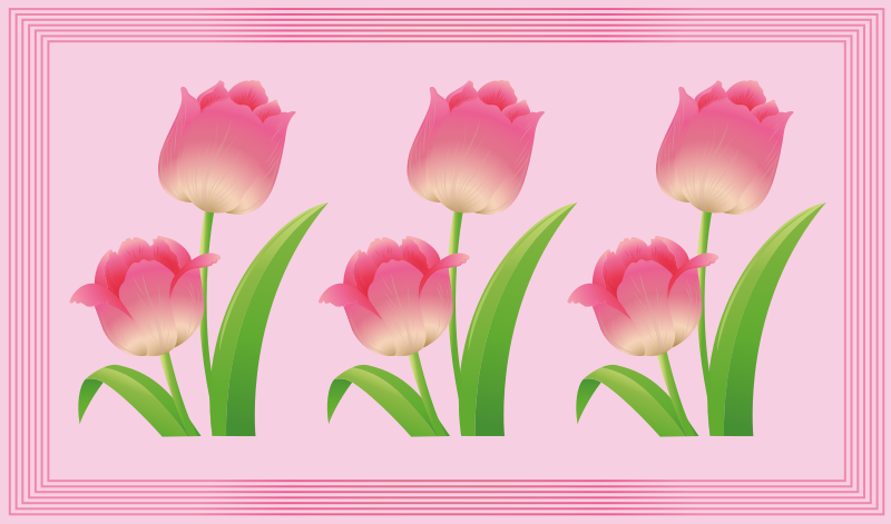 Rosa tulipan bakgrunn floral vinyl teppe - Tenstickers