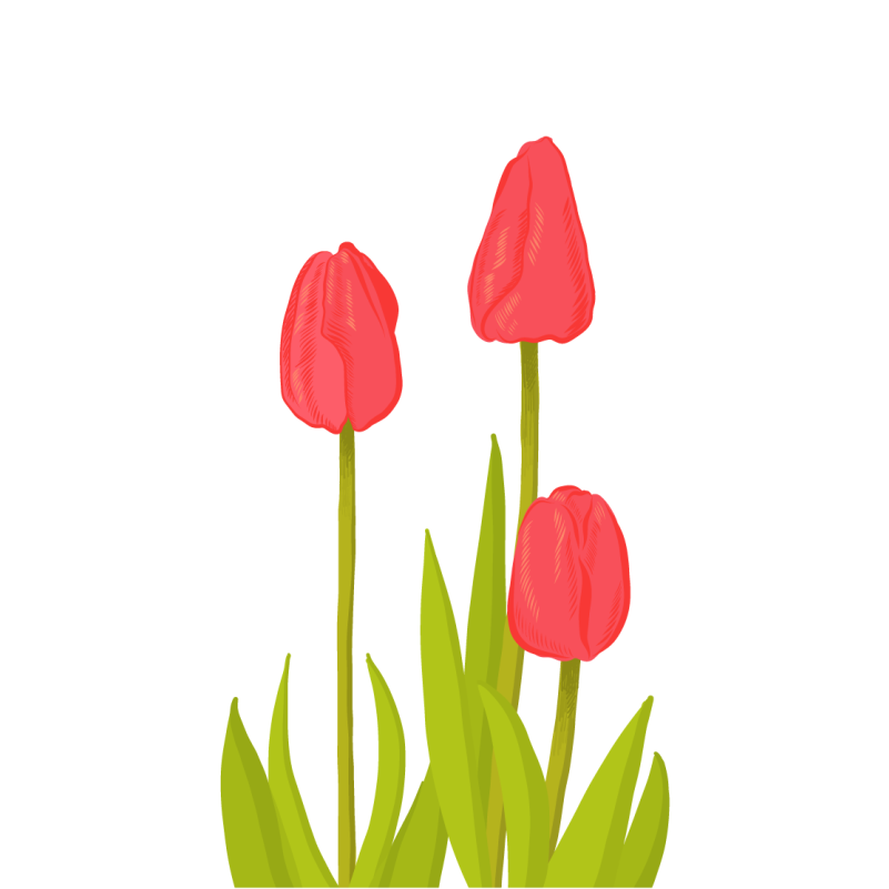 Levende tulipanblomst vinyl teppe blomster og planter - Tenstickers