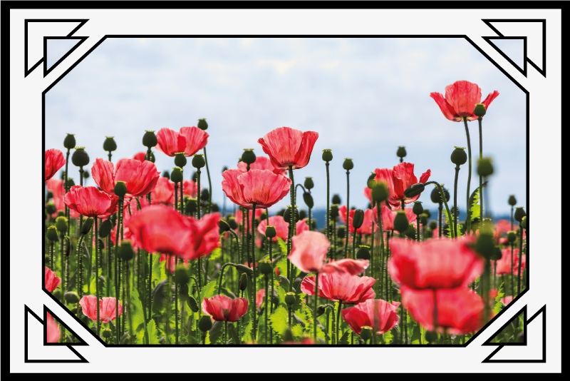 Fargerik valmuefelt vinyl teppe blomster og planter - Tenstickers