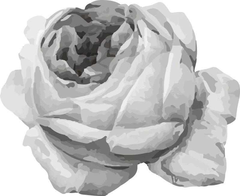 Roseblomst vinyl teppe blomster og planter - Tenstickers