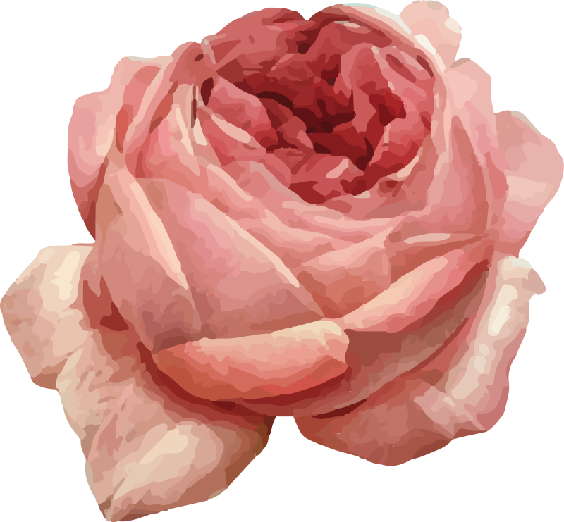 Frodig rosa blomst vinyl teppe blomster og planter - Tenstickers