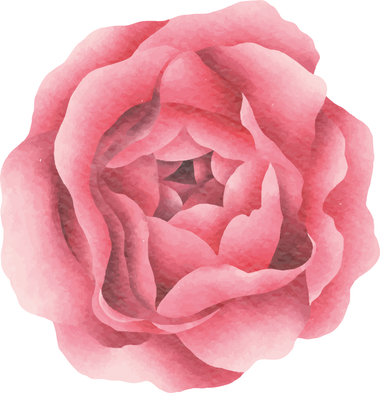 Rød rosa blomst vinyl teppe blomster og planter - Tenstickers