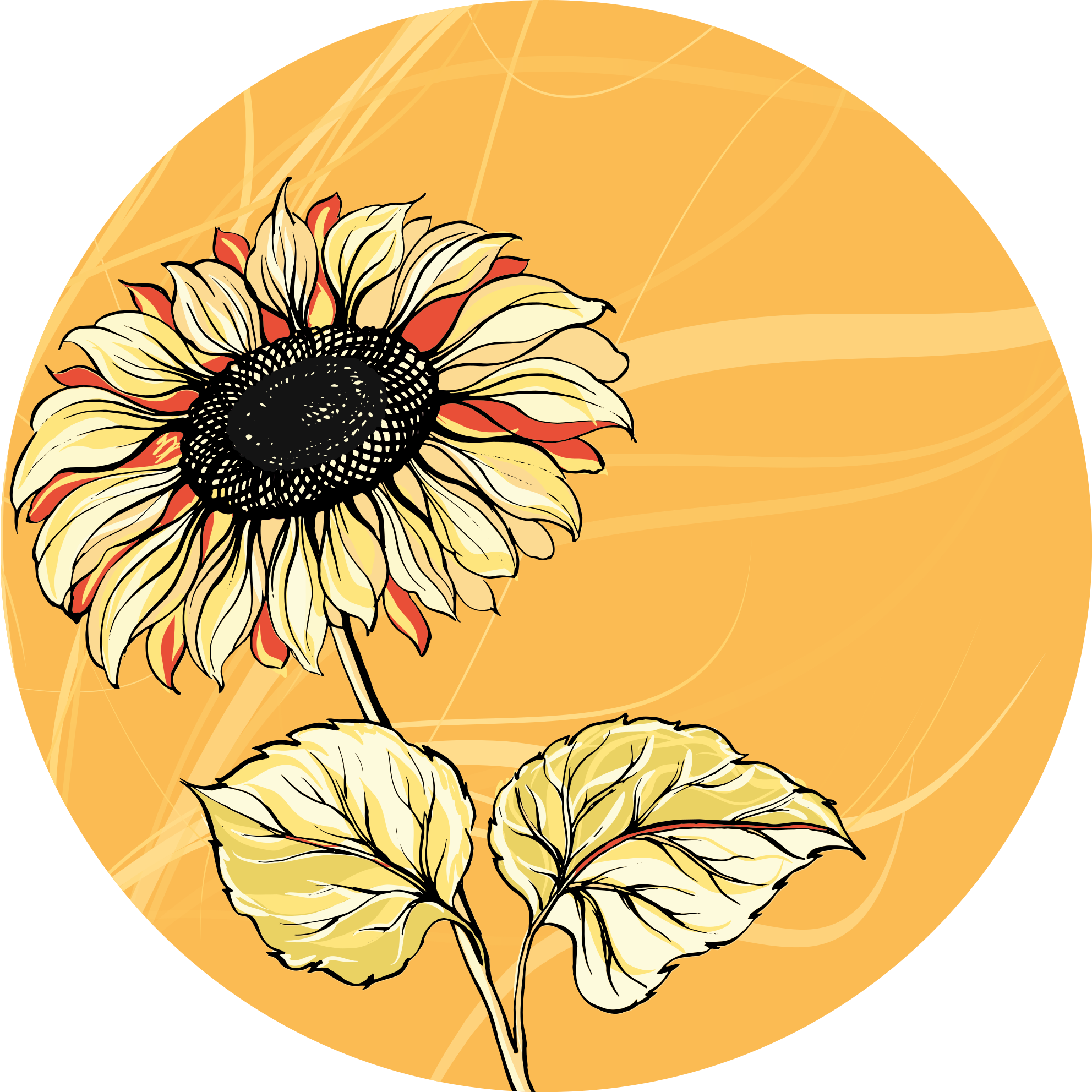 Lys solsikkeblomst vinyl teppe blomster og planter - Tenstickers