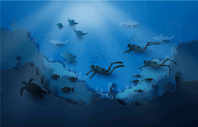 Fantastisk illustrasjon under havet vinyl teppe moderne - Tenstickers