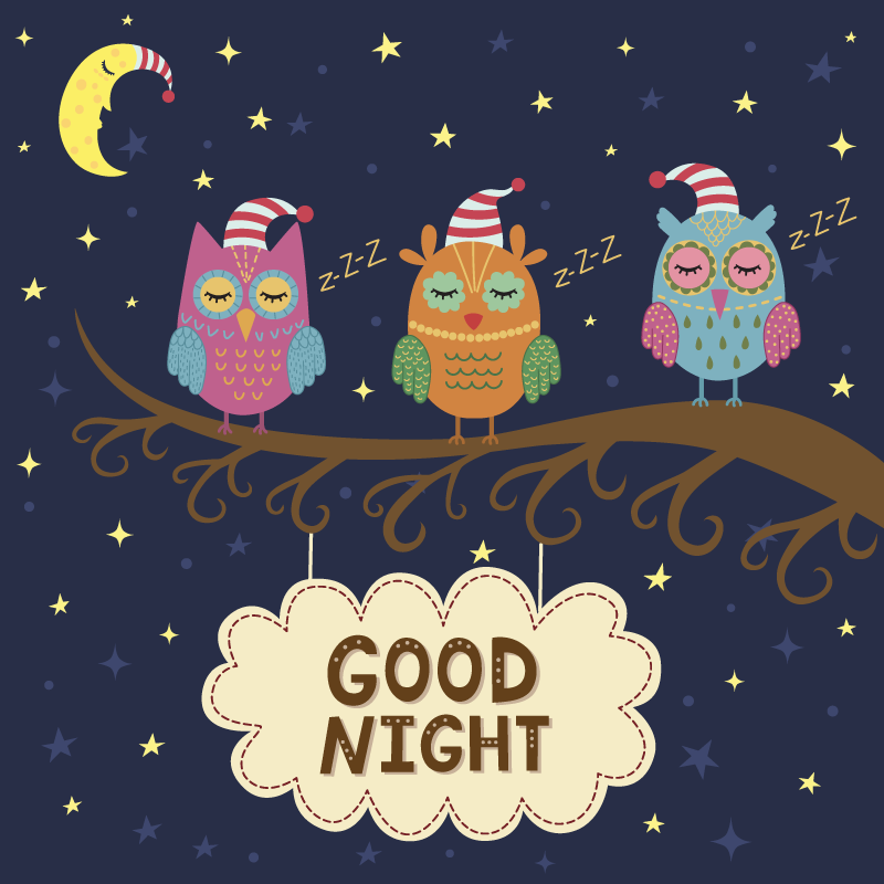 Søvnig ugletrio vinyl teppe dyr - Tenstickers