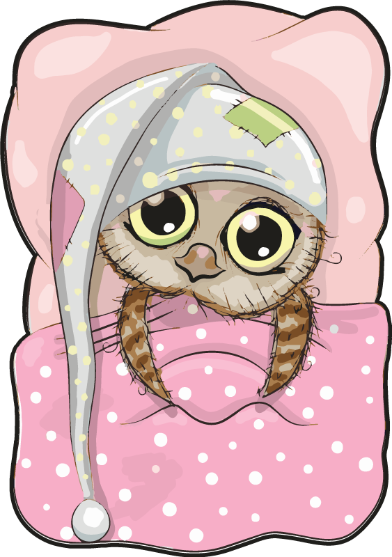 Søt sovende ugle vinyl teppe spedbarn - Tenstickers