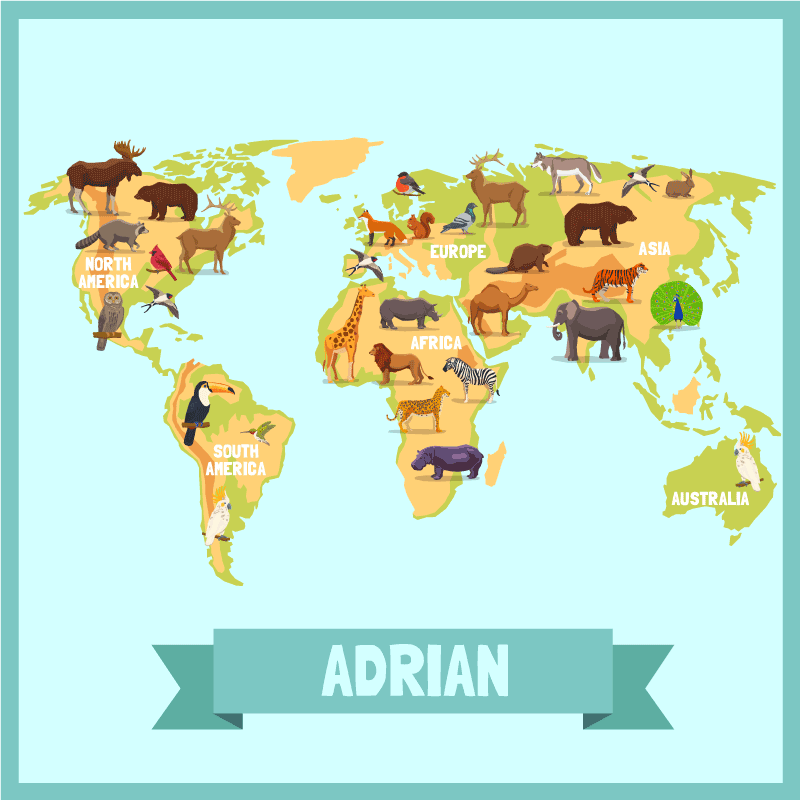 Fargerike dyr fra kontinentene vinyl teppe verdenskart - Tenstickers