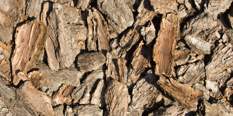 Naturlig barkdesign vinyl teppe tre - Tenstickers