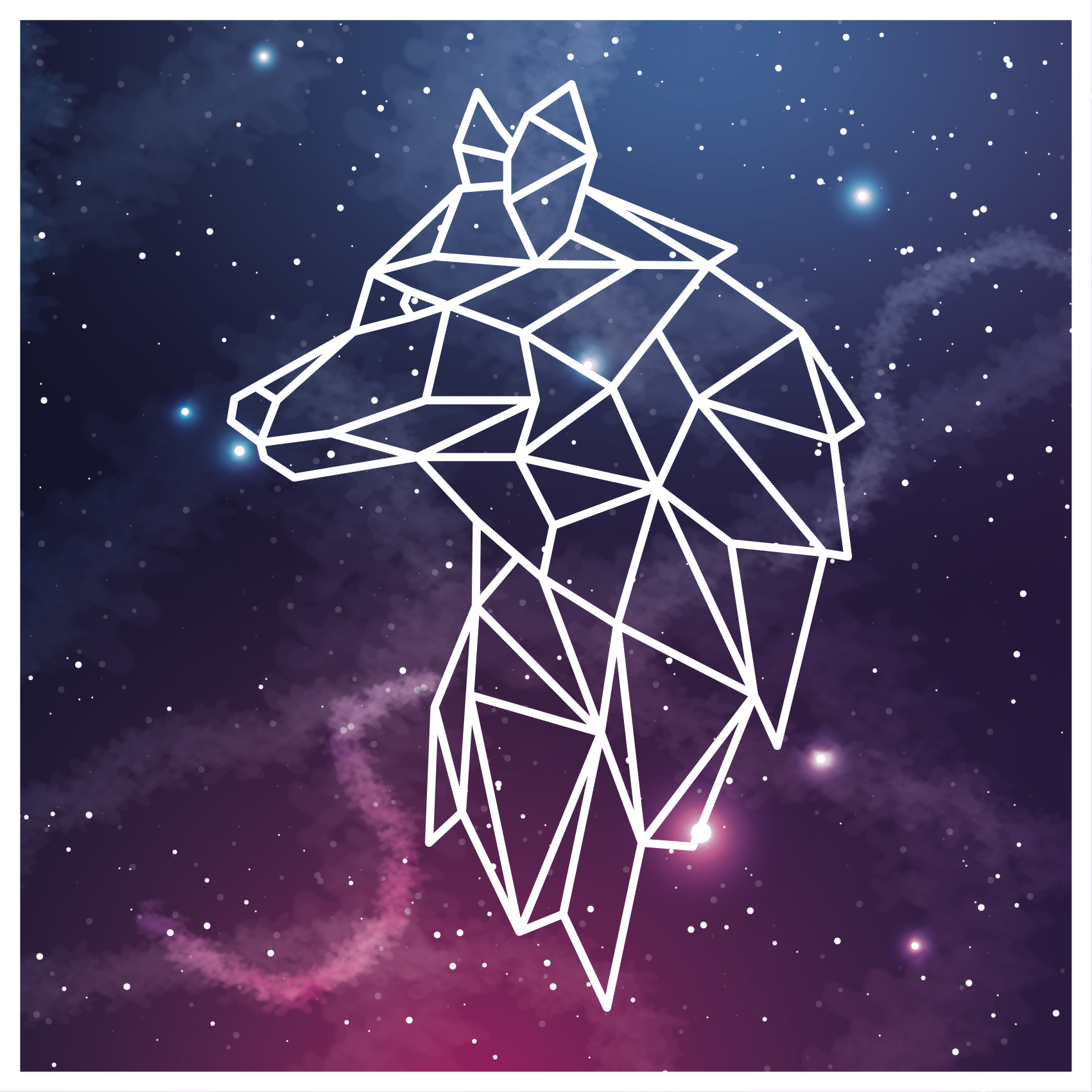 Flerfarget kosmos ulv vinyl teppe etnisk - Tenstickers