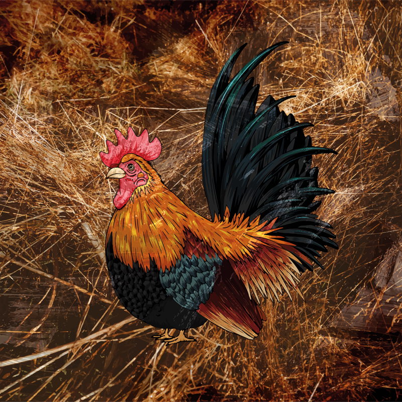 Vibrant hønseavbildning vinyl teppe dyreavtrykk - Tenstickers
