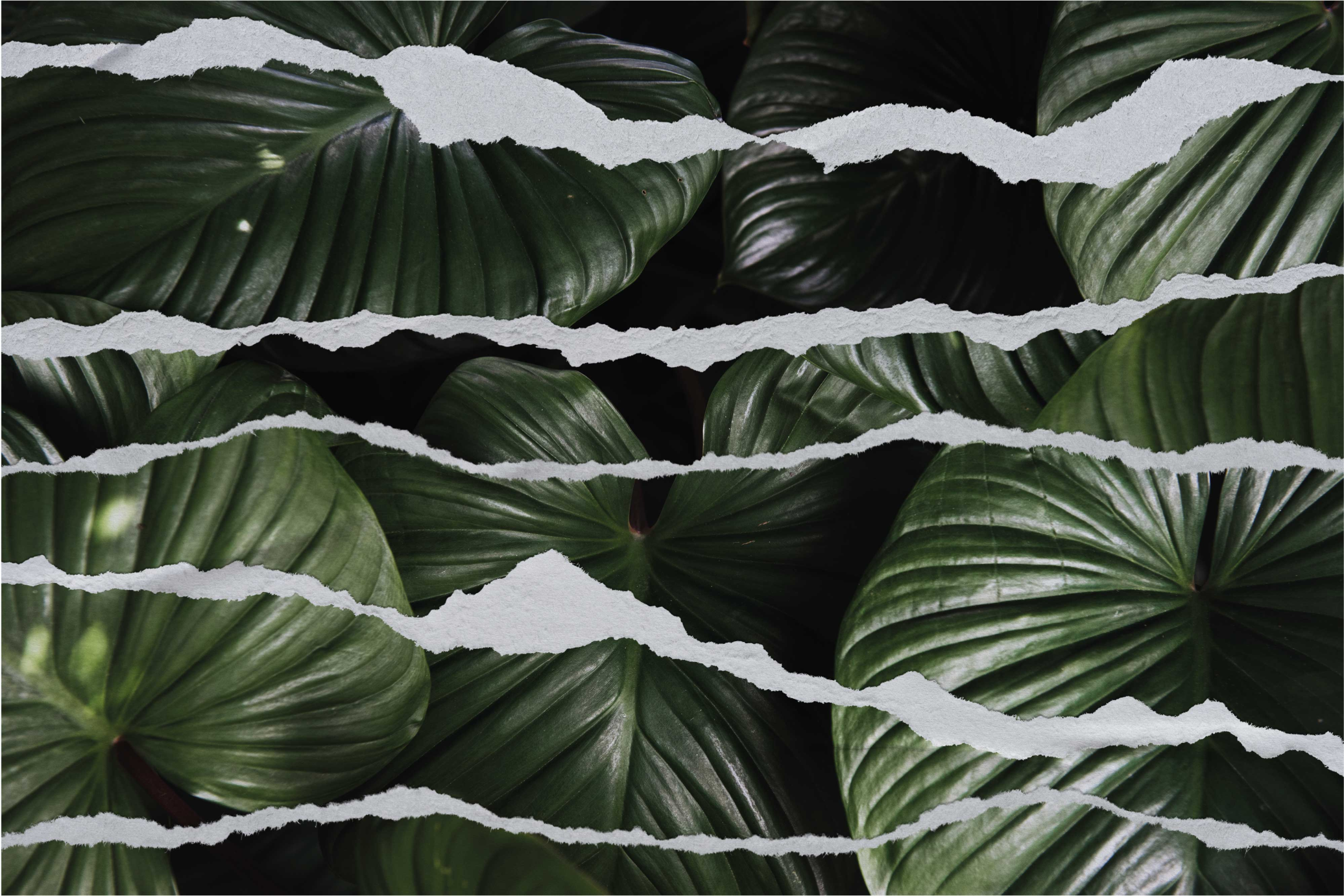 Revet bladmønster vinyl teppe natur - Tenstickers