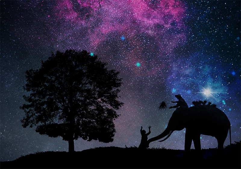 Kosmisk elefanteventyr vinyl teppe dyr - Tenstickers